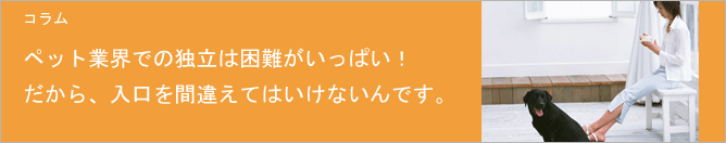 コラム