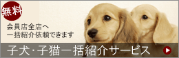 �q���E�q�L�ꊇ�Љ�T�[�r�X